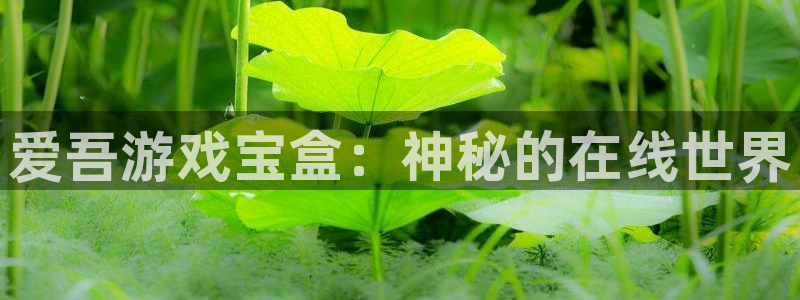 杏宇平台登陆