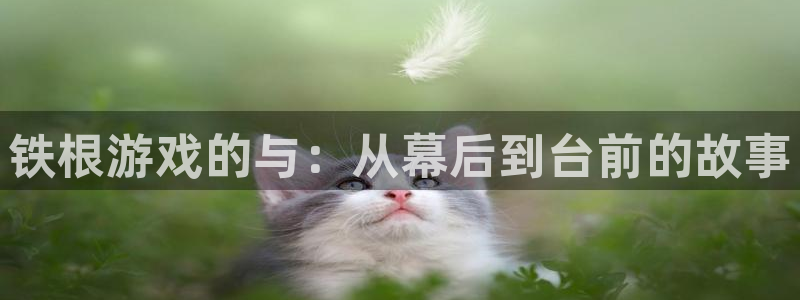 杏宇娱乐登录官网网址是多少