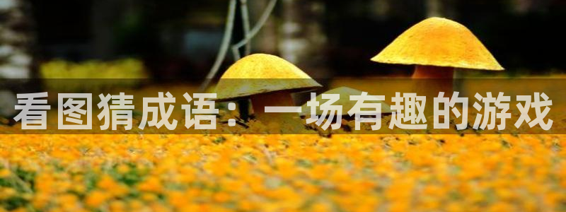 杏宇平台登录官网