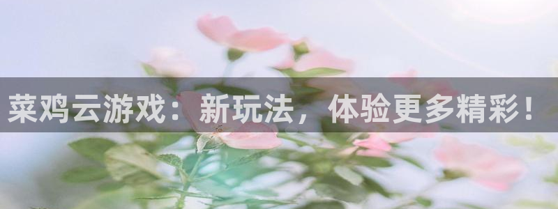 杏宇平台注册地址在哪里看