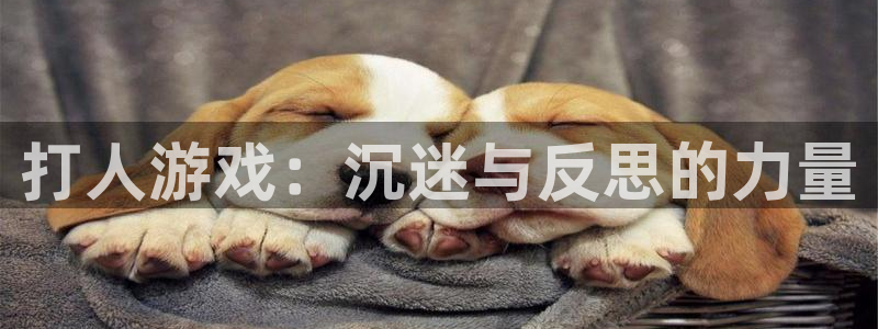 杏宇平台登陆入口地址