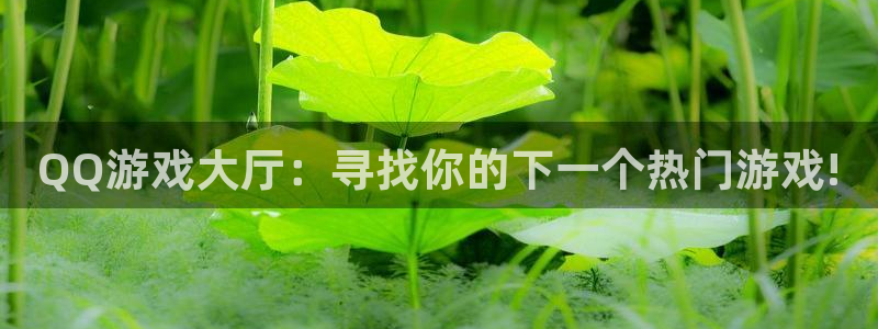 杏宇娱乐平台最新版下载官网