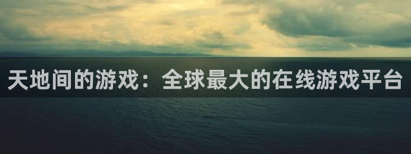 杏宇平台注册地址在哪里看：天地间的游戏：全球最大的在线游戏平