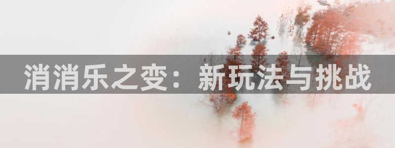 杏宇平台注册地址在哪里看