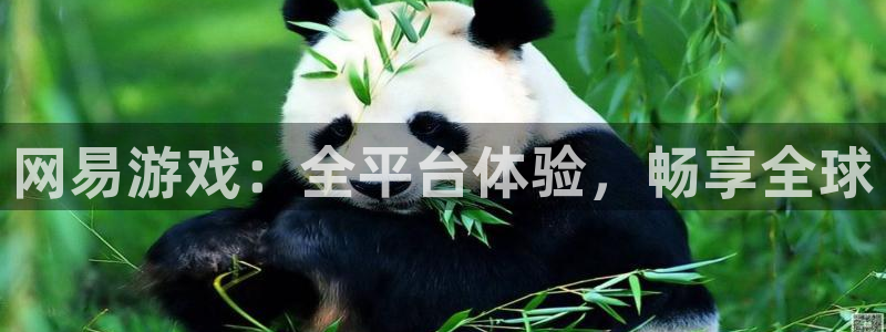 杏宇平台注册地址在哪里看到