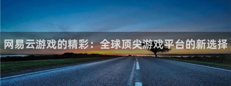 杏宇娱乐总代理