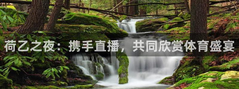 看免费体育直播山猫直播：荷乙之夜：携手直播，共同欣赏体育盛宴