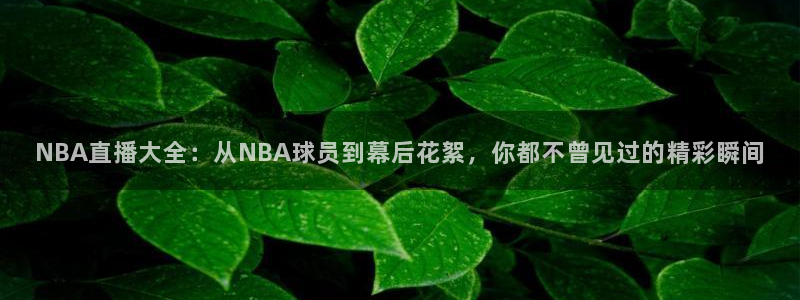 nba直播山猫体育：NBA直播大全：从NBA球员到幕后花絮，你都不曾见过的精彩瞬间