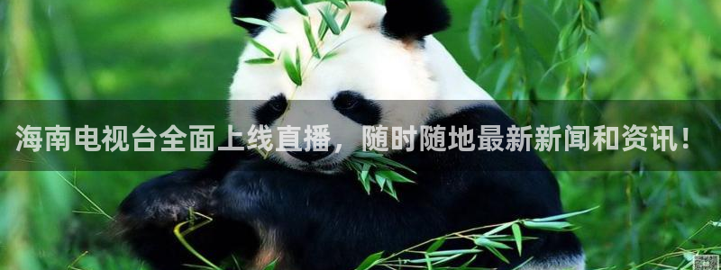 山猫直播体育平台直播：海南电视台全面上线直播，随时随地最新新闻和资讯！