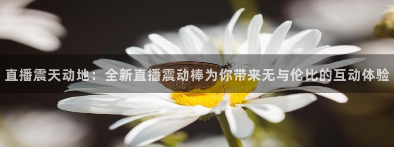 山猫免费体育赛事在线观看：直播震天动地：全新直播震动棒为你带来无与伦比的互动体验