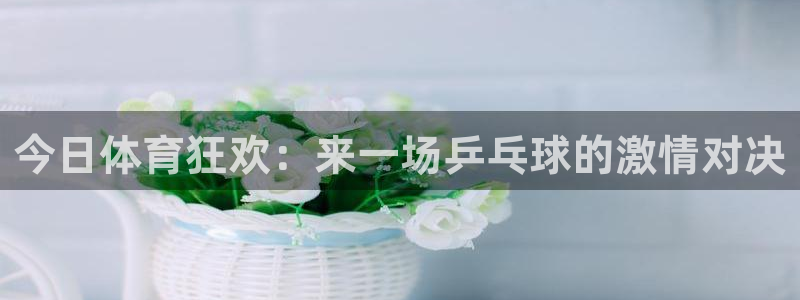 山猫直播足球免费直播：今日体育狂欢：来一场乒乓球的激情对决