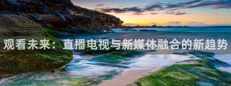 山猫nba体育直播在线观看：观看未来：直播电视与新媒体融合的新趋势
